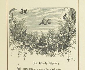 British Library digitised image from page 113 of "Songs of the Woods. A gift book from the Poets. With ... illustrations by Giacomelli"