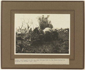A mule team bogged in the mud near Potijze Farm, Ypres