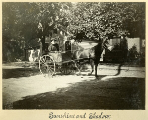 Sunshine and Shadow