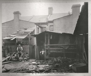 Rear of No. 50 Wexford Street, chinese bedroom, Sydney (NSW)
