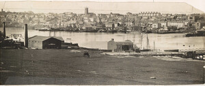Sydney from Pyrmont