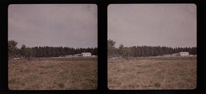 Max Neuscheller d1970_11_9