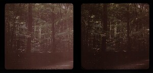 Max Neuscheller d1970_11_12