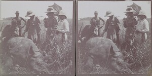 Mary Gallen-Kallela and her children Kirsti and Jorma stand next to a rhino shot by her husband, artist Akseli Gallen-Kallela, in May 1910.