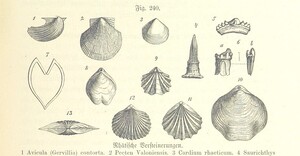 British Library digitised image from page 671 of "Unser Wissen von der Erde. Allgemeine Erdkunde und LÃ¤nderkunde, herausgegeben unter fachmÃ¤nnischer Mitwirkung von A. Kirchhoff"