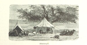 British Library digitised image from page 87 of "Auf biblischen Pfaden. Reisebilder aus Aegypten, PalÃ¤stina, Syrien, Kleinasien, Griechenland und der TÃ¼rkei [With maps and illustrations.]"