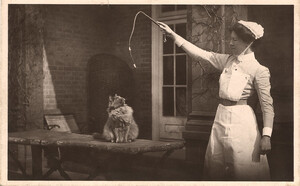 Nurse and a cat