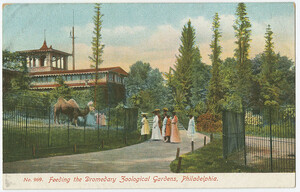 Philadelphia Zoo ca. 1920