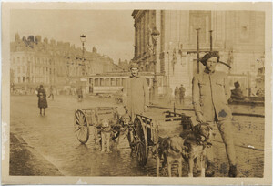 French war dogs at Lille