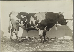I.K Inha: Finnish Agriculture D2000_48_254