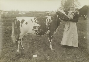 I.K Inha: Finnish Agriculture D2000_48_201