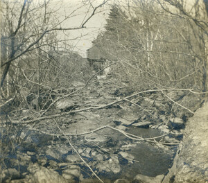 Molyneaux mill