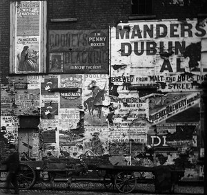 Fancy some C.S.I. NLI?