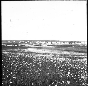 South Thomaston views 001