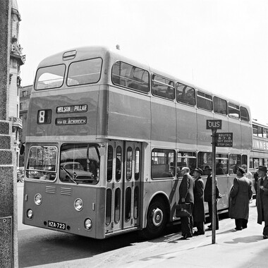 Brand Spanking New Bus