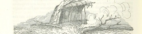 British Library digitised image from page 264 of "Voyage round the World, embracing the principal events of the narrative of the United States' Exploring Expedition ... With ... engravings"