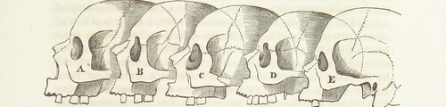 British Library digitised image from page 281 of "Types of Mankind: or Ethnological Researches ... illustrated by selections from the inedited papers of S. G. Morton ... and by additional contributions from L. Agassiz, W. Usher, and ... H. S. Patterson. .