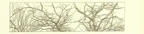 British Library digitised image from page 27 of "Spring (Summer-Autumn-Winter) songs and sketches"