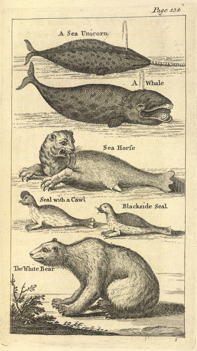 A voyage to Hudson's-Bay, ... in ... 1746 and 1747 - caption: 'Several creatures'