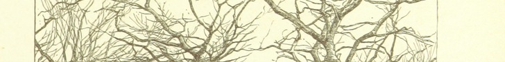 British Library digitised image from page 27 of "Spring (Summer-Autumn-Winter) songs and sketches"